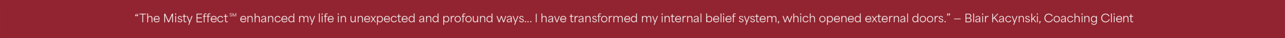 Client Testimonial